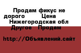 Продам фикус не дорого 2000 › Цена ­ 2 000 - Нижегородская обл. Другое » Продам   